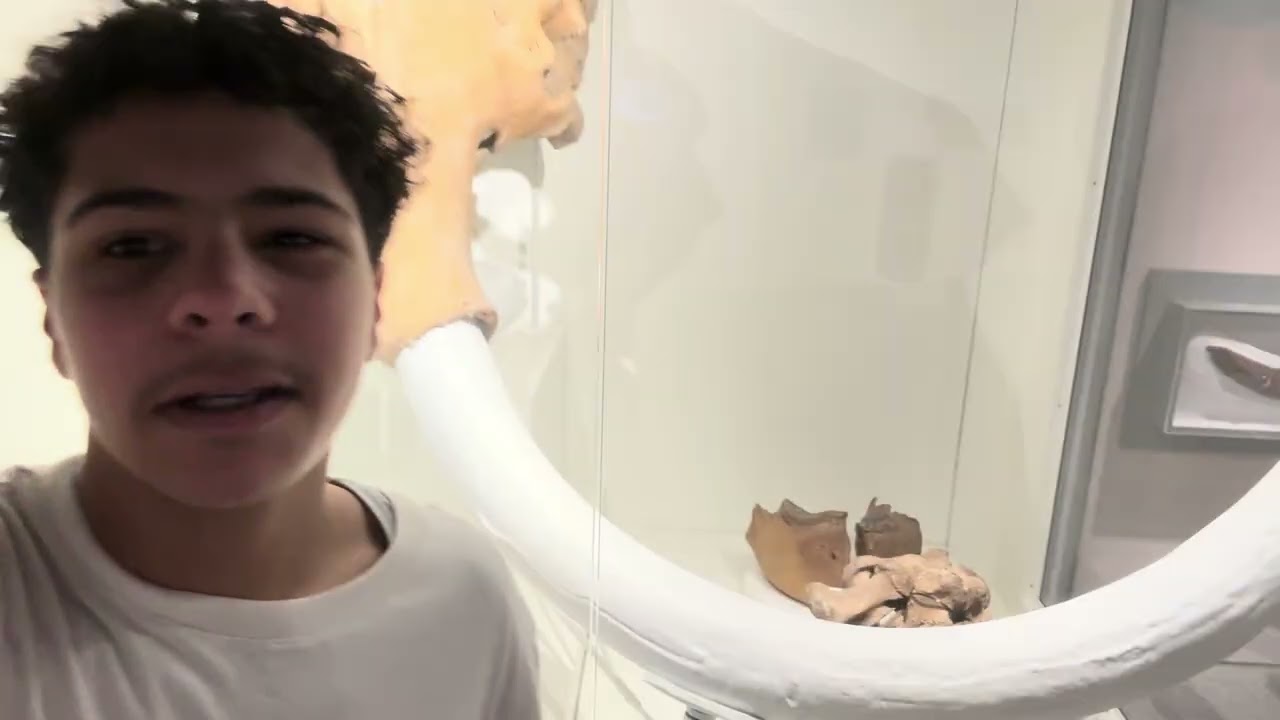 Hide and seek at the museum