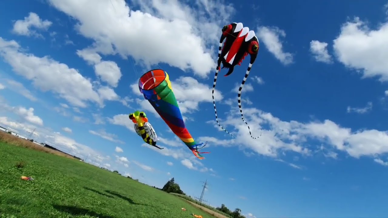 Trilobite my Favorite Kites