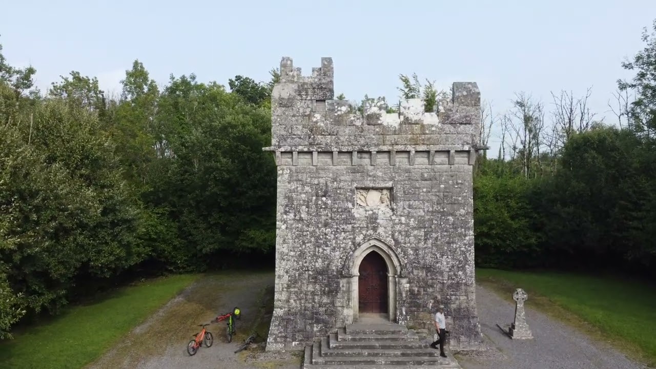 Monivea Woods. Co. Galway