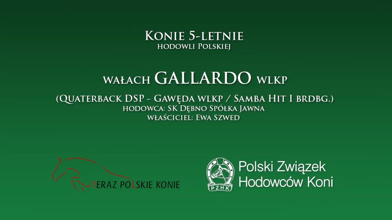 Wałach GALLARDO wlkp