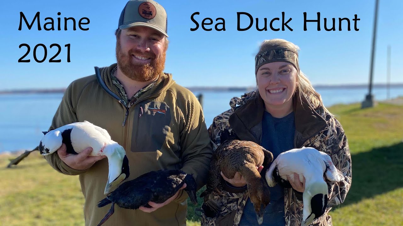 Maine Sea Duck Hunt Opening Weekend 2021
