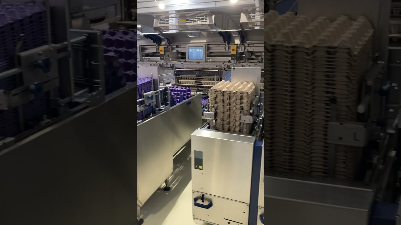 MOBA OMNIA PX350 Egg Grading& Packing Machine / MOBA OMNIA XF 350 Yumurta Tasnif Paketleme Makinesi