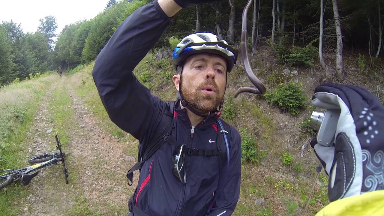 Les Vosges en VTT