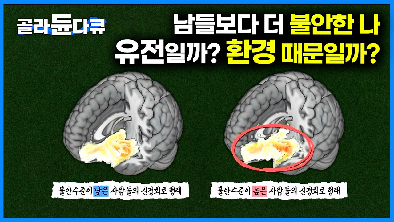 쉴 때는 아무것도 안해서 불안하다. 놀아도 일해도 24시간 불안한 현대인의 뇌 속에 숨겨진 충격적 비밀｜불안을 낮추는 방법｜불안을 못 느끼는 인간｜취미는 과학｜#골라듄다큐
