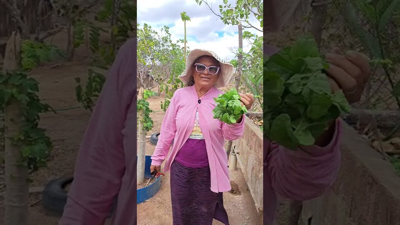 Aila a Vovó Aventureira está ao vivo!