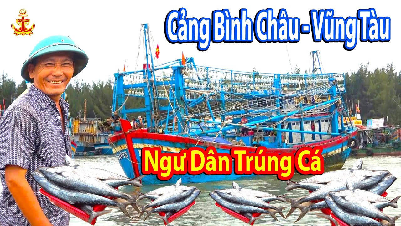 Ngư Dân Bình Châu Trúng Cá Thu Bể Tay Và Toàn Cảnh Bình Châu Tuyệt Đẹp