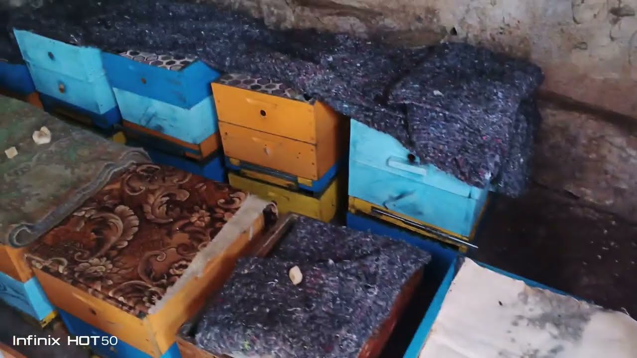 Первые потери,и как их избежать.