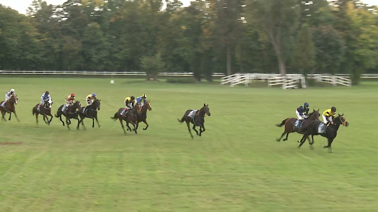 2021 dzień 11 gonitwa 5, CRYSTAL CUP - Nagroda Portu Lotniczego
