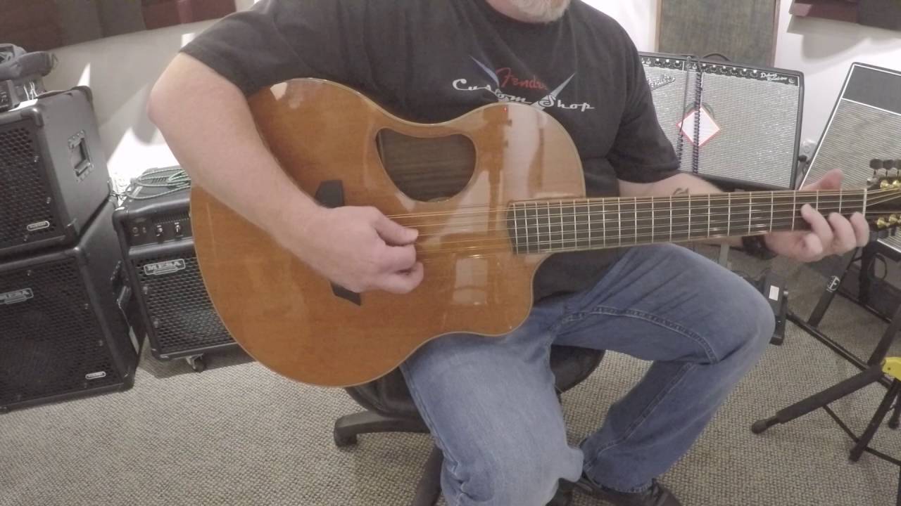 12 String Comparison - McPherson 12 String Acoustic vs Schenk 12 String Acoustic | The Music Gallery