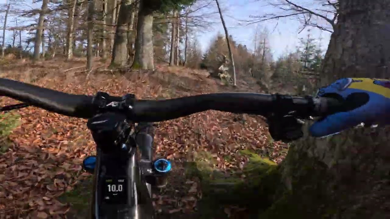 Bikeabenteuer mit Tina