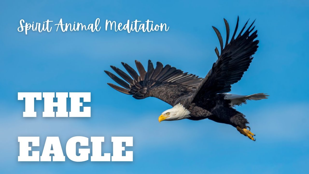 Eagle Spirit Animal Meditation: A 20-Minute Journey to Manifest Your Vision