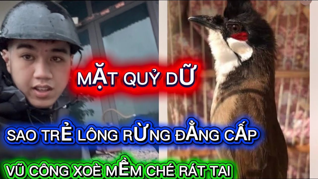 SAO TRẺ LÔNG RỪNG MẶT QUỶ DỮ SIÊU GẤU CỰC ÁC CHIM- VŨ CÔNG XOÈ MỀM NHẠY CHÉ CỰC RÁT TAI BỘ SIÊU VIP