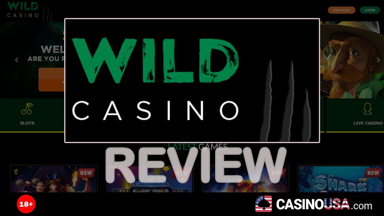 Wild Casino Review by Realtime player - casinousa.com