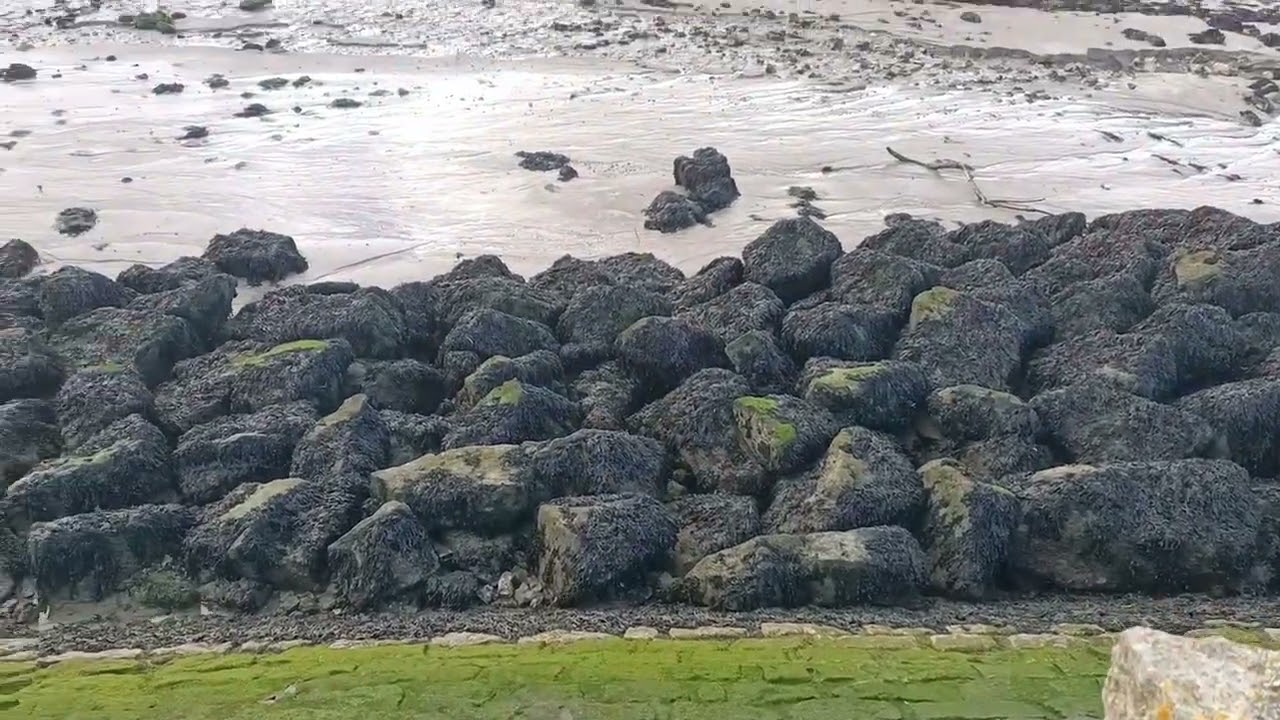 Plage d'Honfleur