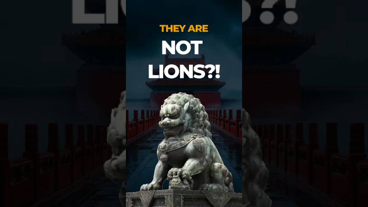 These Are Not Lions?! 😲  #ancientchina #chineseculture