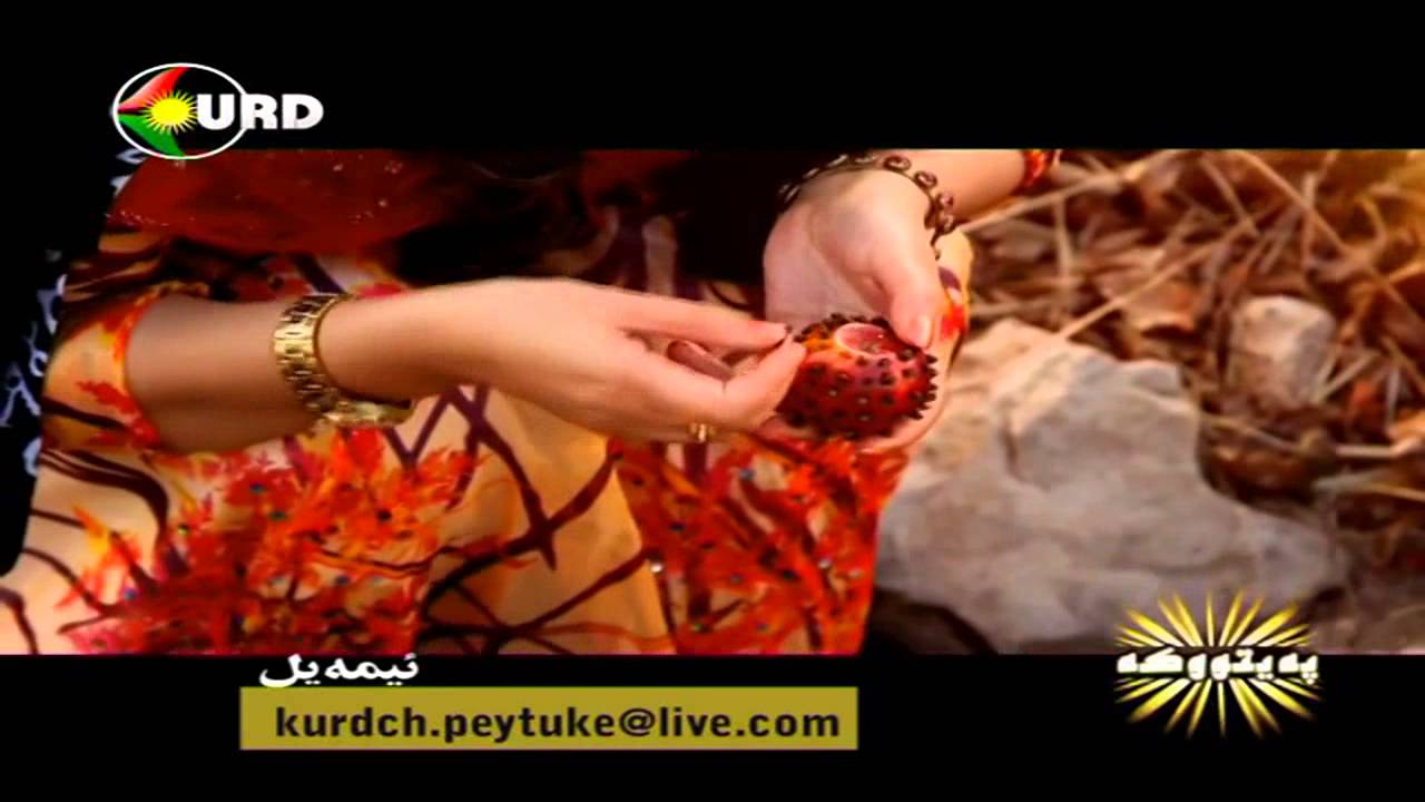 Salah Xzri - Payza