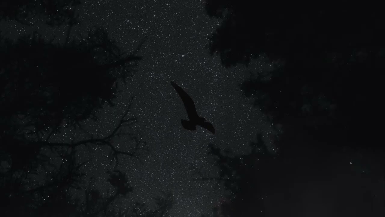 [FREE] Dark Trap Type Beat 