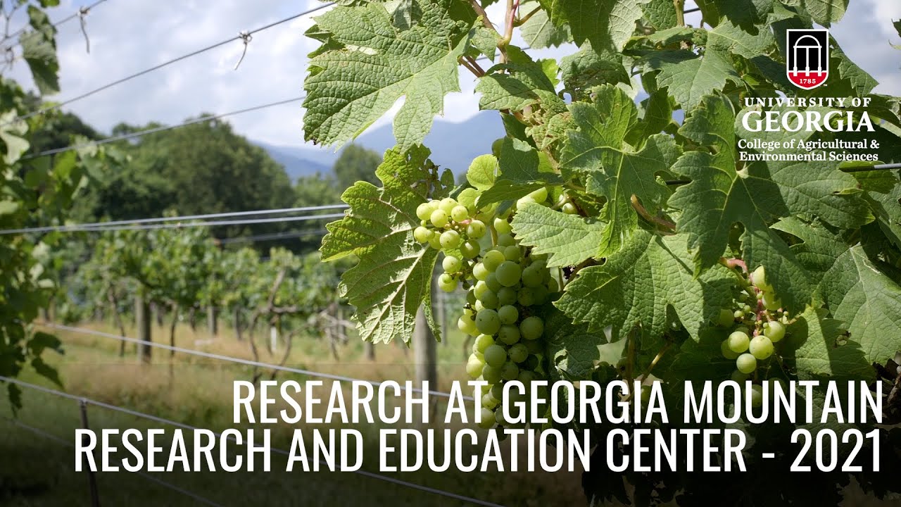 Research at Georgia Mountain Research and Education Center