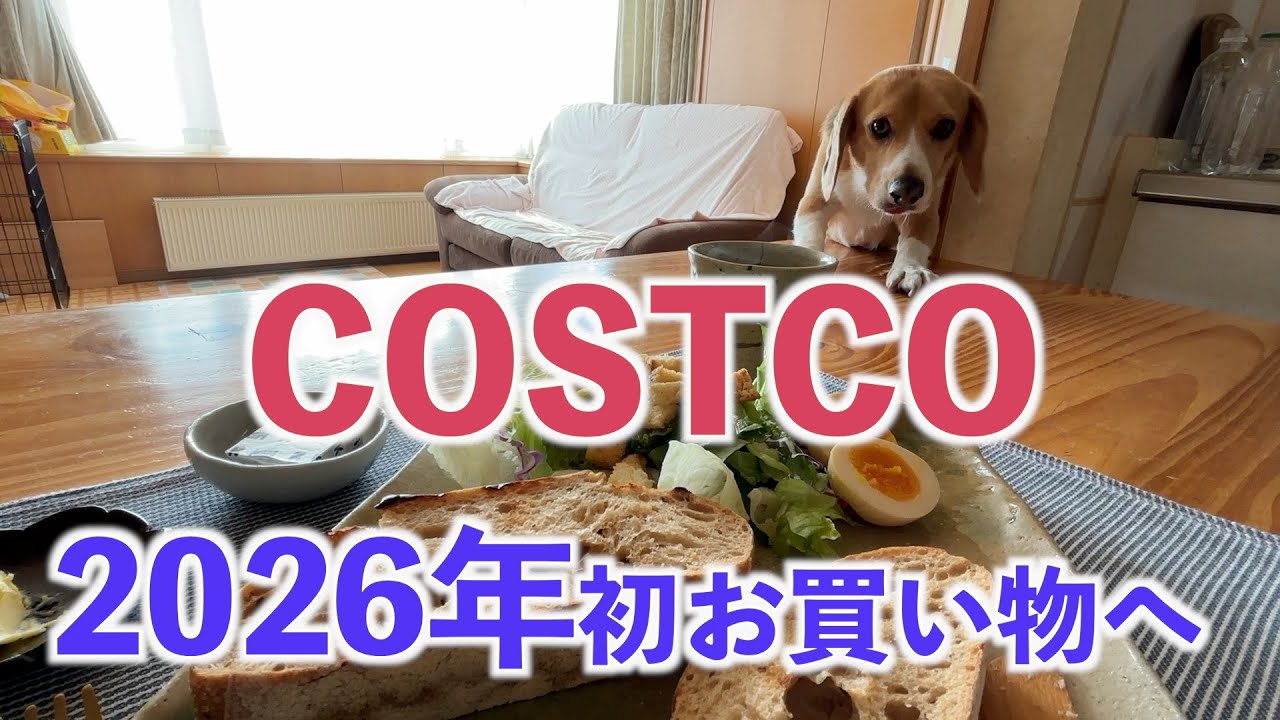 【今年初コストコへ】2026年1回目♩購入品と仕分け！私好みのパン♩お気に入り見つけた！！ウルさんもお気に入り！？