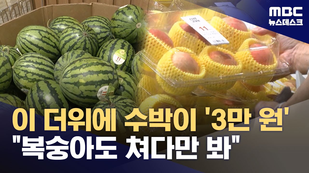 폭염에 달아오르는 과일·채솟값‥유통과정 들여다보니 (2025.07.11/뉴스데스크/MBC)