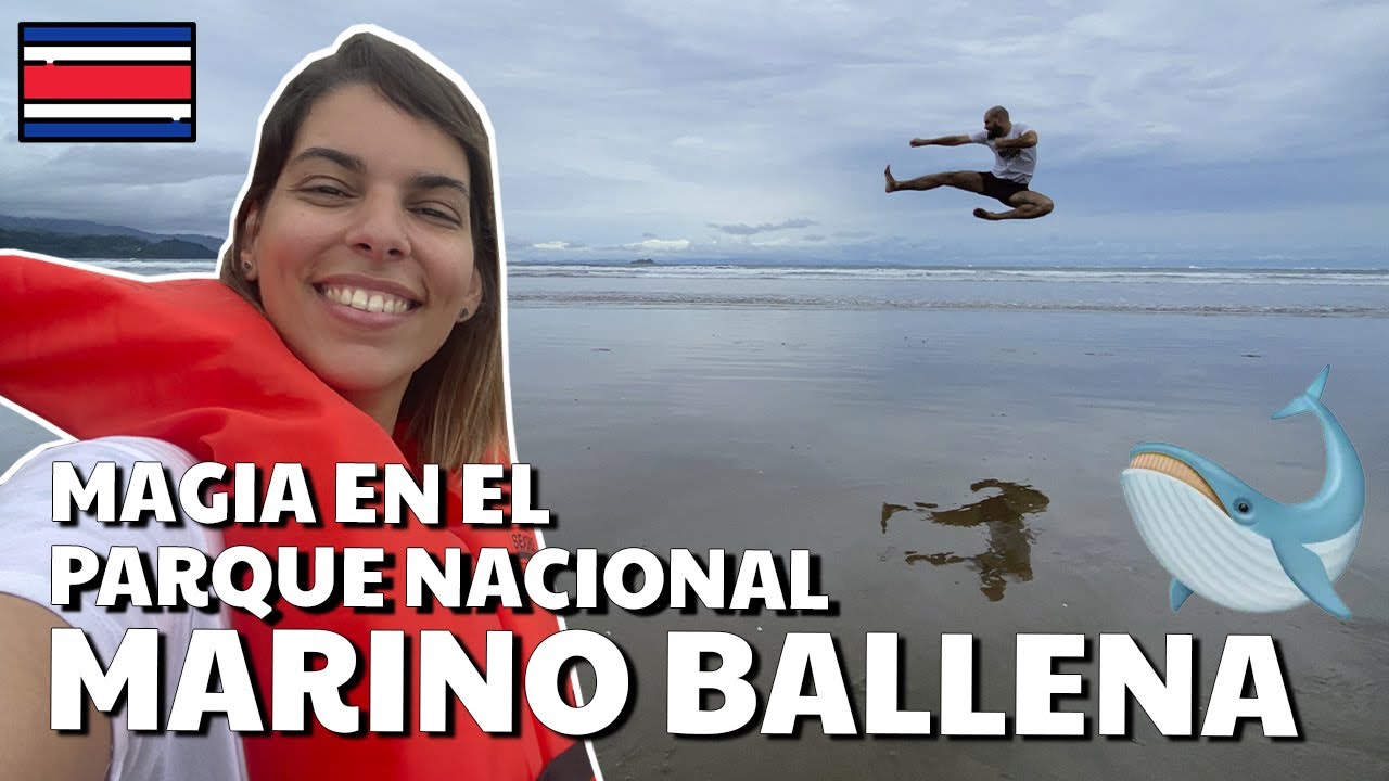 PARQUE NACIONAL MARINO BALLENA (BALLENAS en UVITA) 🇨🇷 Guía de Costa Rica #28