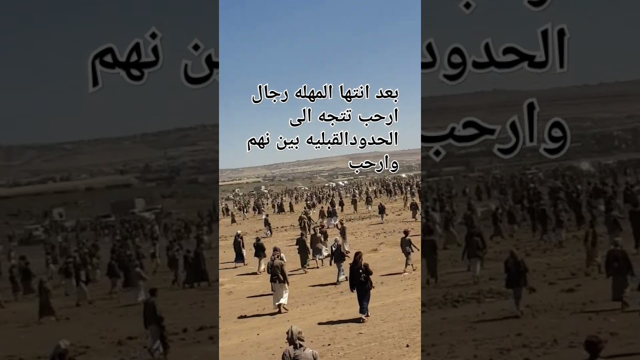 موقف #قبائل #ارحب تذهب الى نصب المتارس المتاخمه لنهم