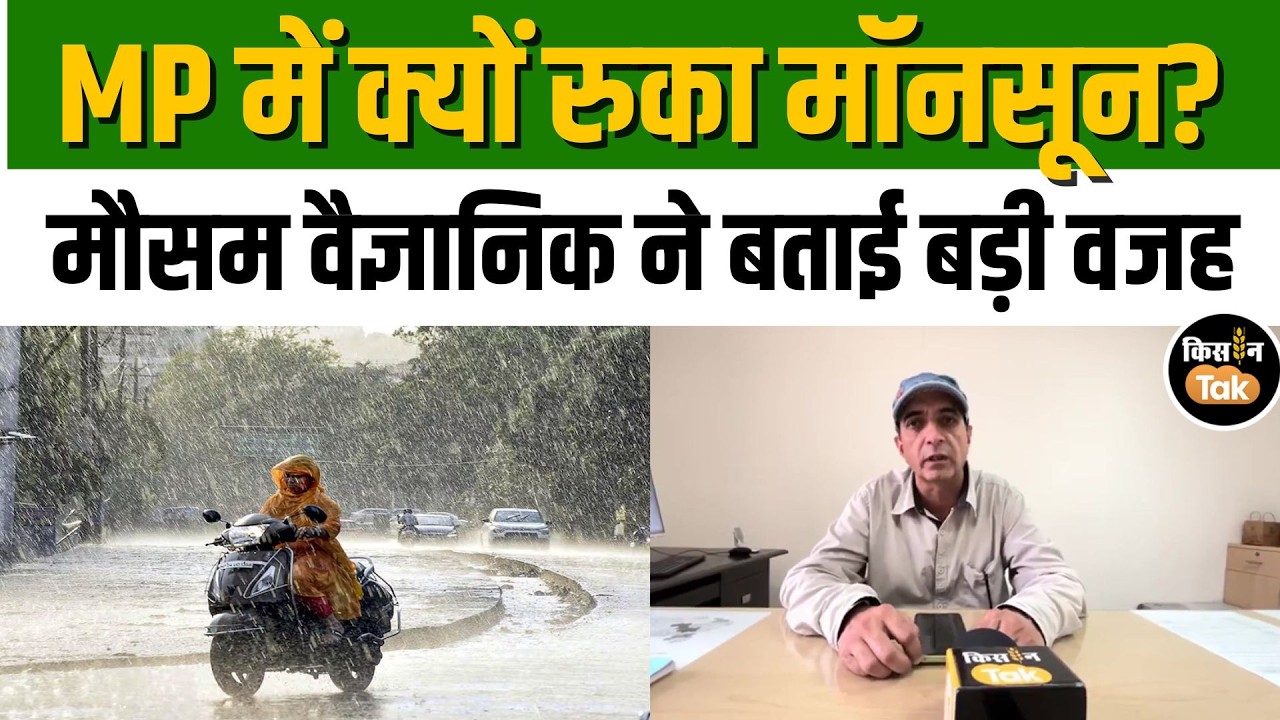 MP Weather Update: मध्य प्रदेश में मॉनसून का इंतजार जारी! जानिए कब बदलेंगे मौसम के तेवर #imdalert