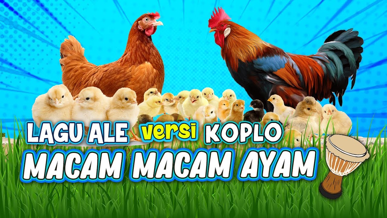 LAGU MACAM-MACAM AYAM I AYAM ALE versi KOPLO