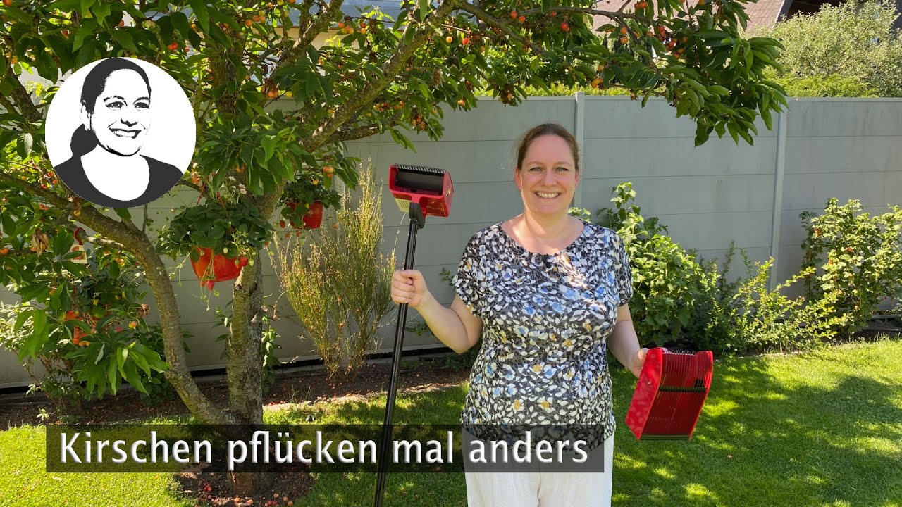 🍒 Kirschen pflücken mal anders! 😁