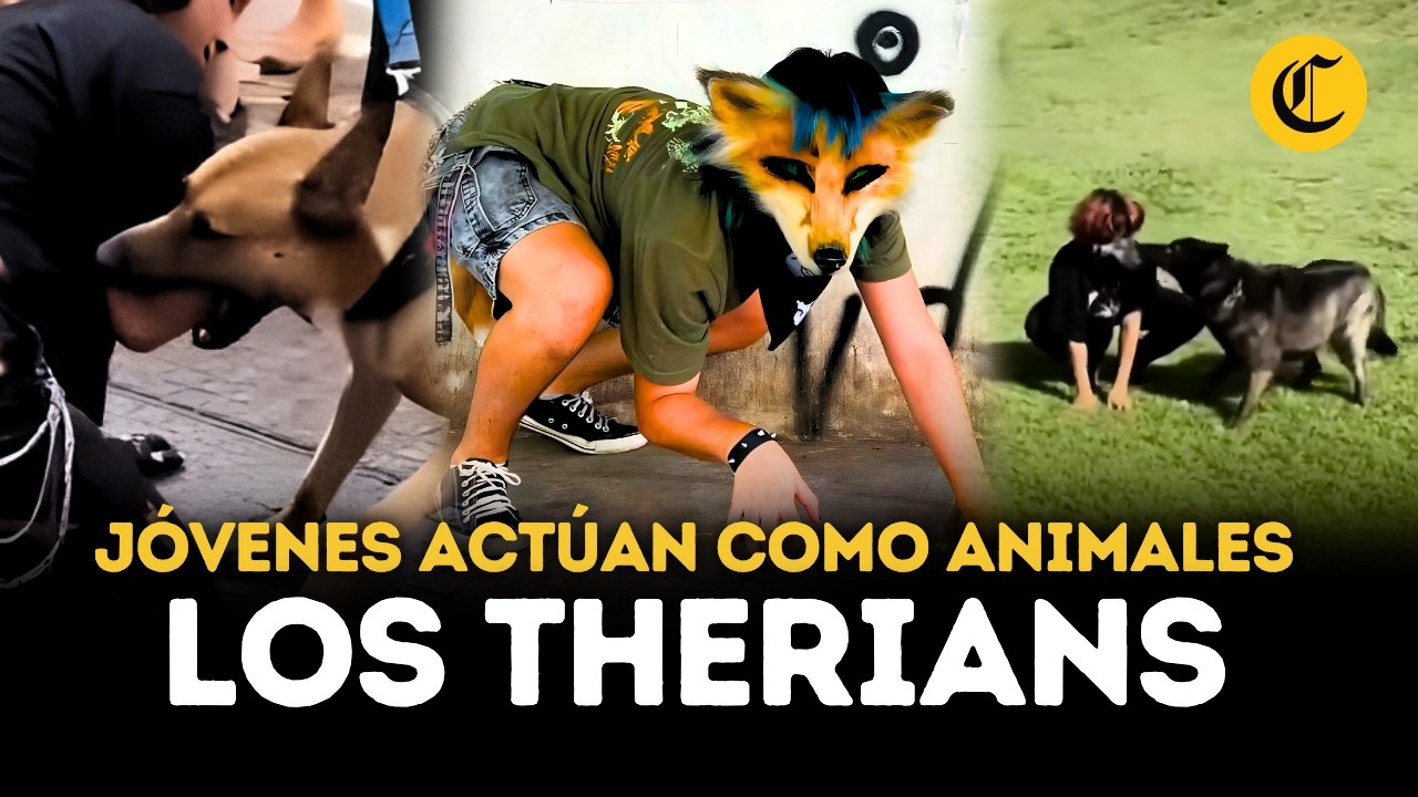 &iquest;Qu&eacute; son los Therian?: moda del 'humano animal' ya es visible en ciudades de Latinoam&eacute;rica