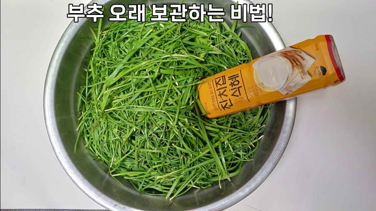 부추 1년 지나도 싱싱함 그대로 더 맛있어져요