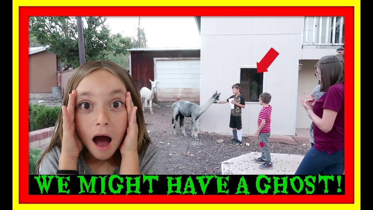 WE MIGHT HAVE A GHOST! | NEW PET! | FAIR TIME!