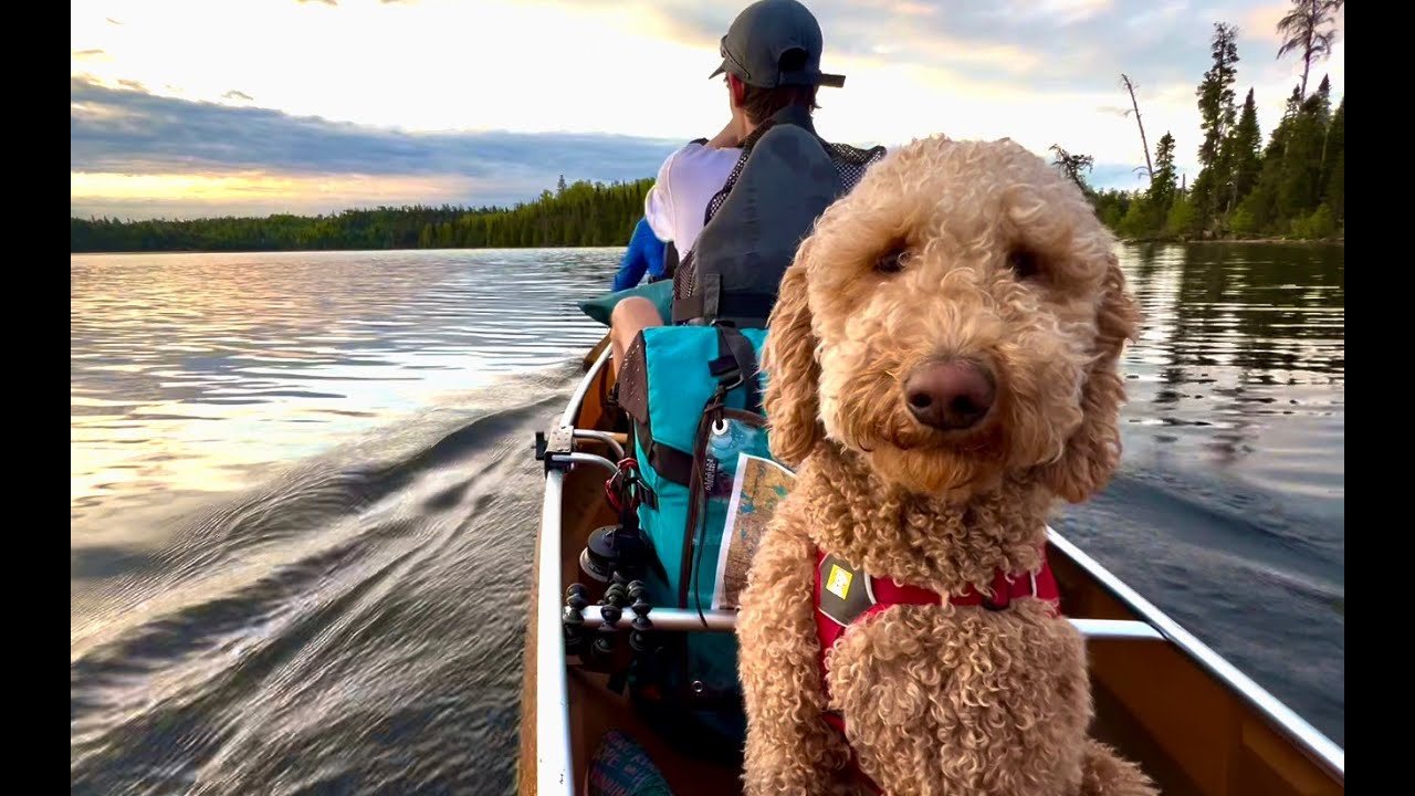 Boundary Waters Canoe and Camping trip 2024