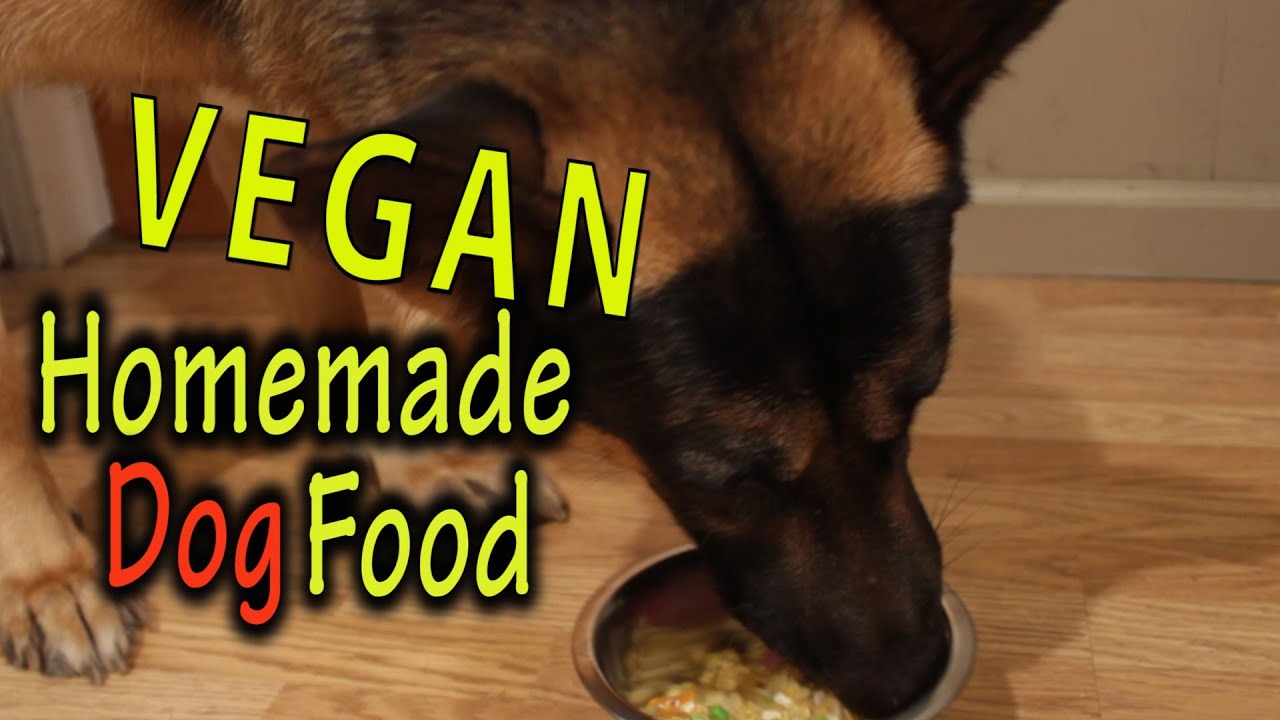 Homemade Dog Food | Vegan | The Vegan Zombie