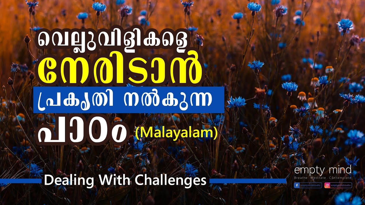 വെല്ലുവിളികളെ നേരിടാൻ പ്രകൃതി നൽകുന്ന പാഠം...! Dealing With Challenges...!! (Malayalam)