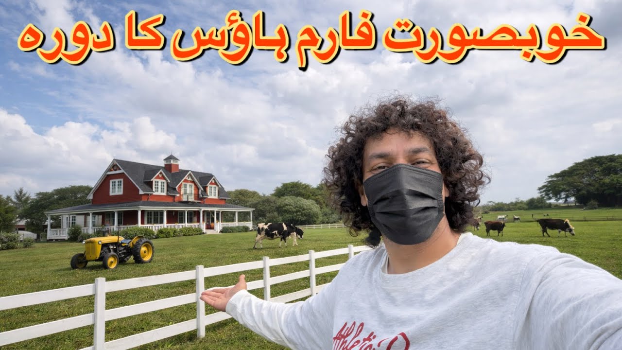 Malaysia Mein Itna Khubsurat Farm! 🐄 Tractor Aur Fresh Zindagi | Mini New Zelnad 