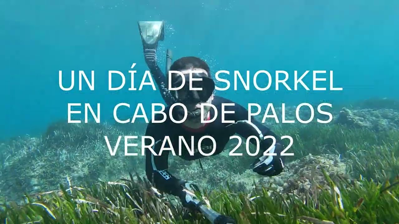 Snorkel en Cabo de Palos 2022