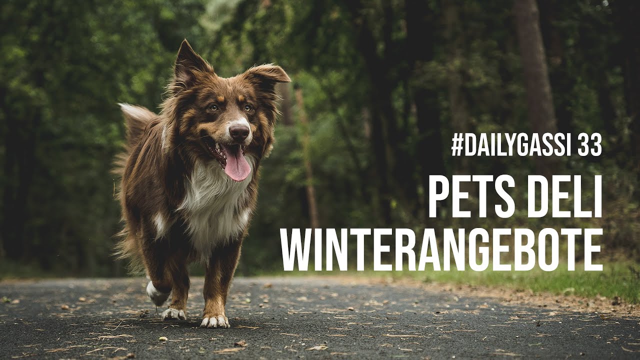 Pets Deli Winterangebote [DailyGassi #33]