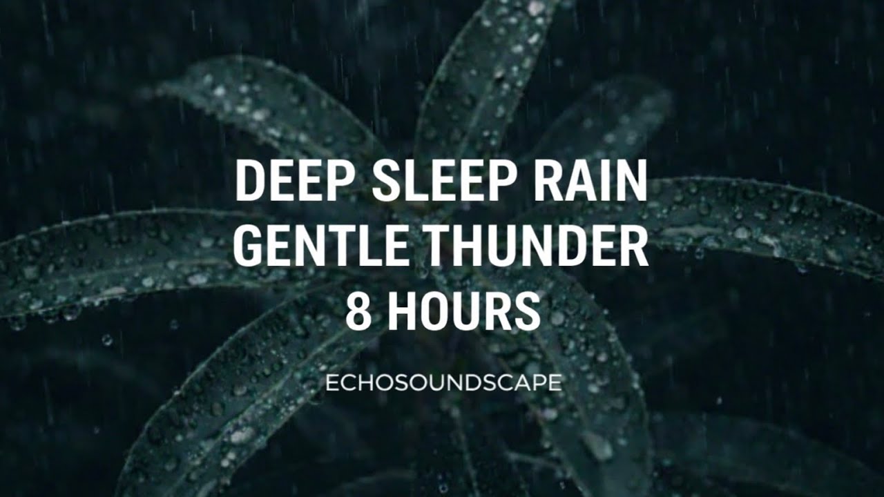 Rain on Leaves with Gentle Thunder |   8 Hours Deep Sleep & Relaxation | EchoSoundscape