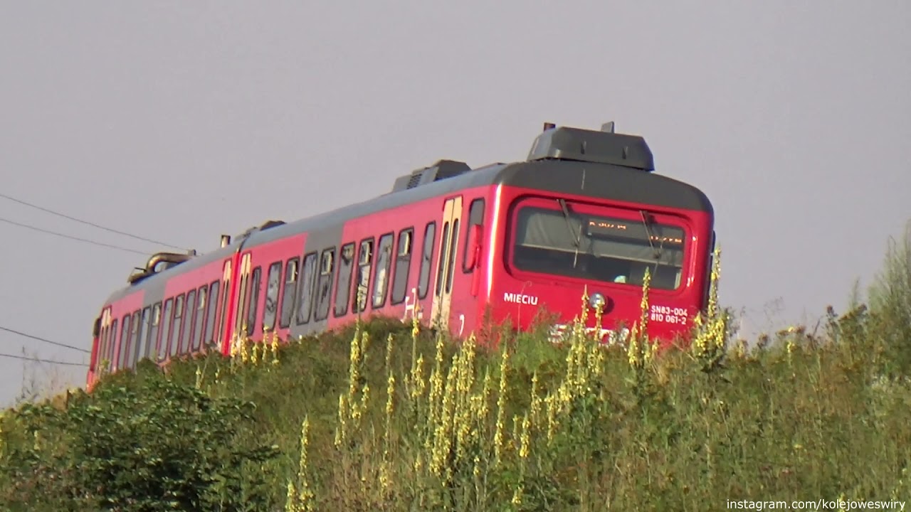 Mix składów w Tczewie - podg Malinowo - pociągi towarowe i pasażerskie na SN83 - Mieciu i Andrzej