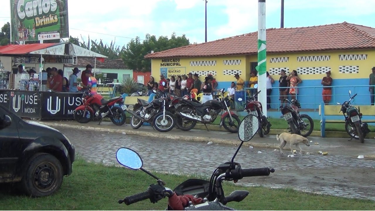 PALMARES - MOMENTOS DA CAVALGADA DAS MULHERES - 04/02/2024