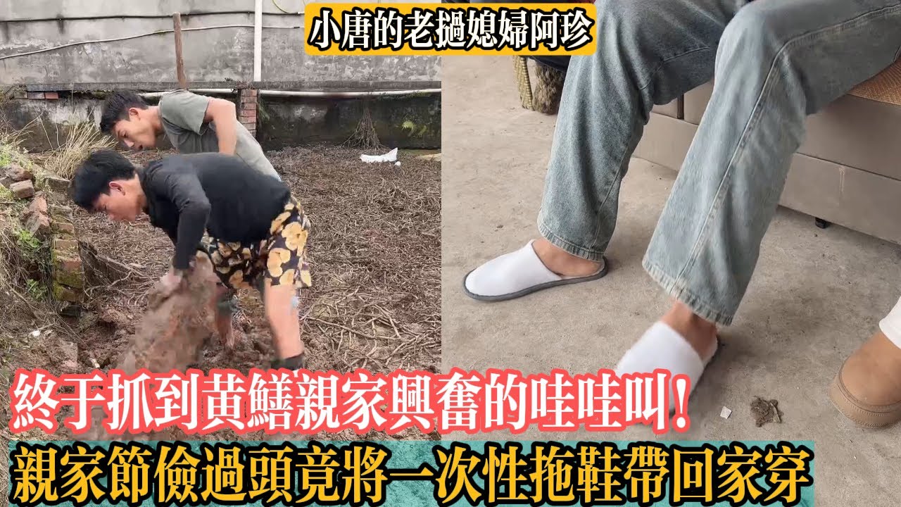 【小唐的老撾媳婦阿珍】終於抓到黃鱔親家興奮的哇哇叫！親家節儉過頭竟將一次性拖鞋帶回家穿