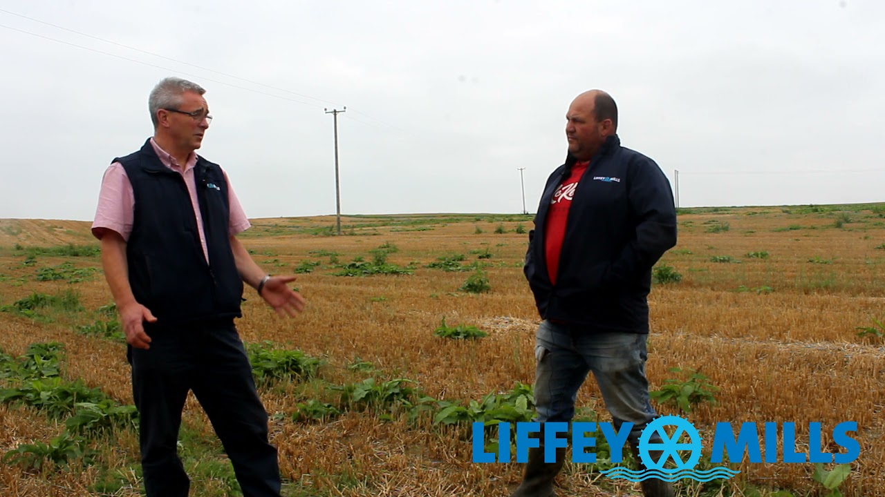 Robert Dempsey Tillage Farm visit 2, September 2021