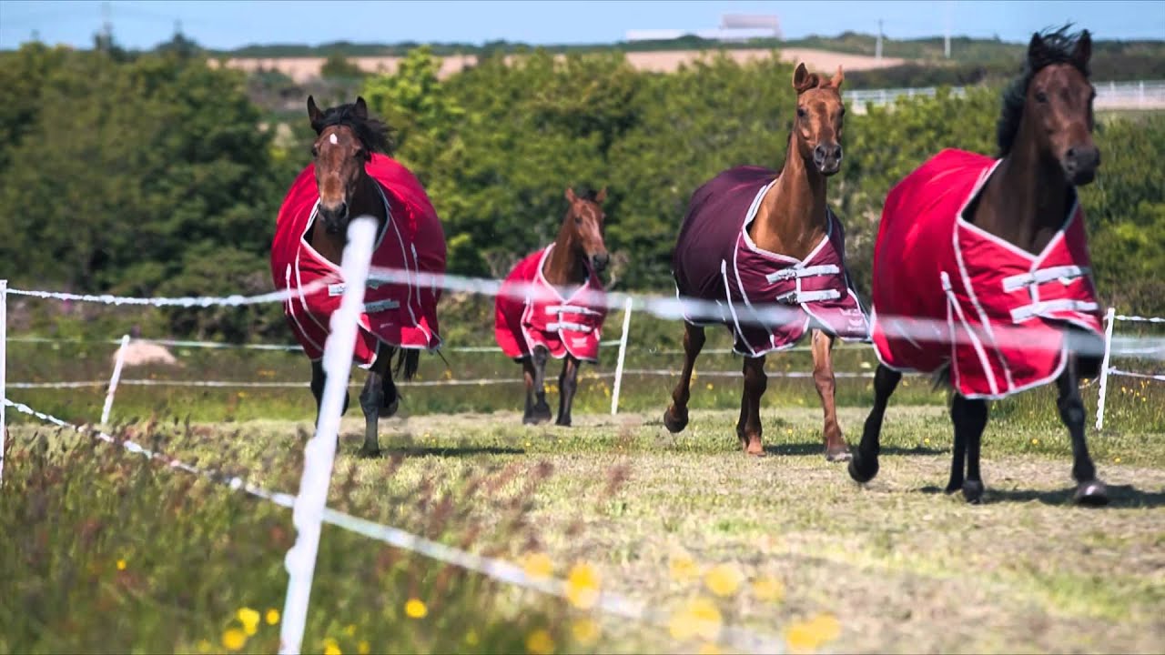 Guardian Fence Buster Rugs - Rugs that work with electric fencing