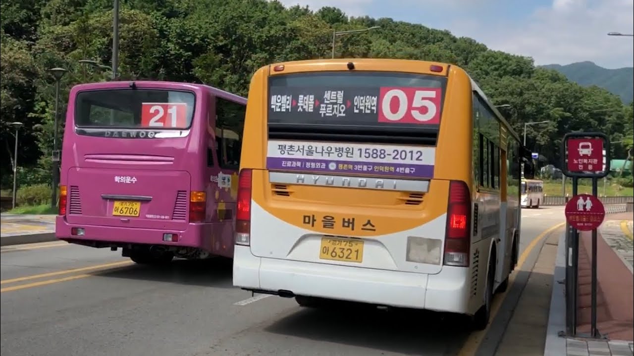🇰🇷 위왕시의 경기 버스 관측 Gyeonggi Bus Observations in Uiwang-si Gyeonggi-do 🇰🇷