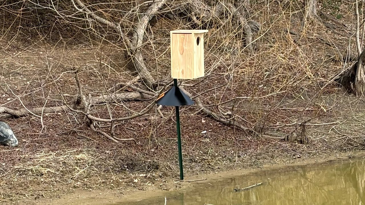 HOW TO BUILD A WOOD DUCK BOX