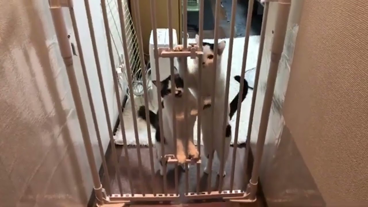 早く早く｜ひとりじゃないよ(^o^)