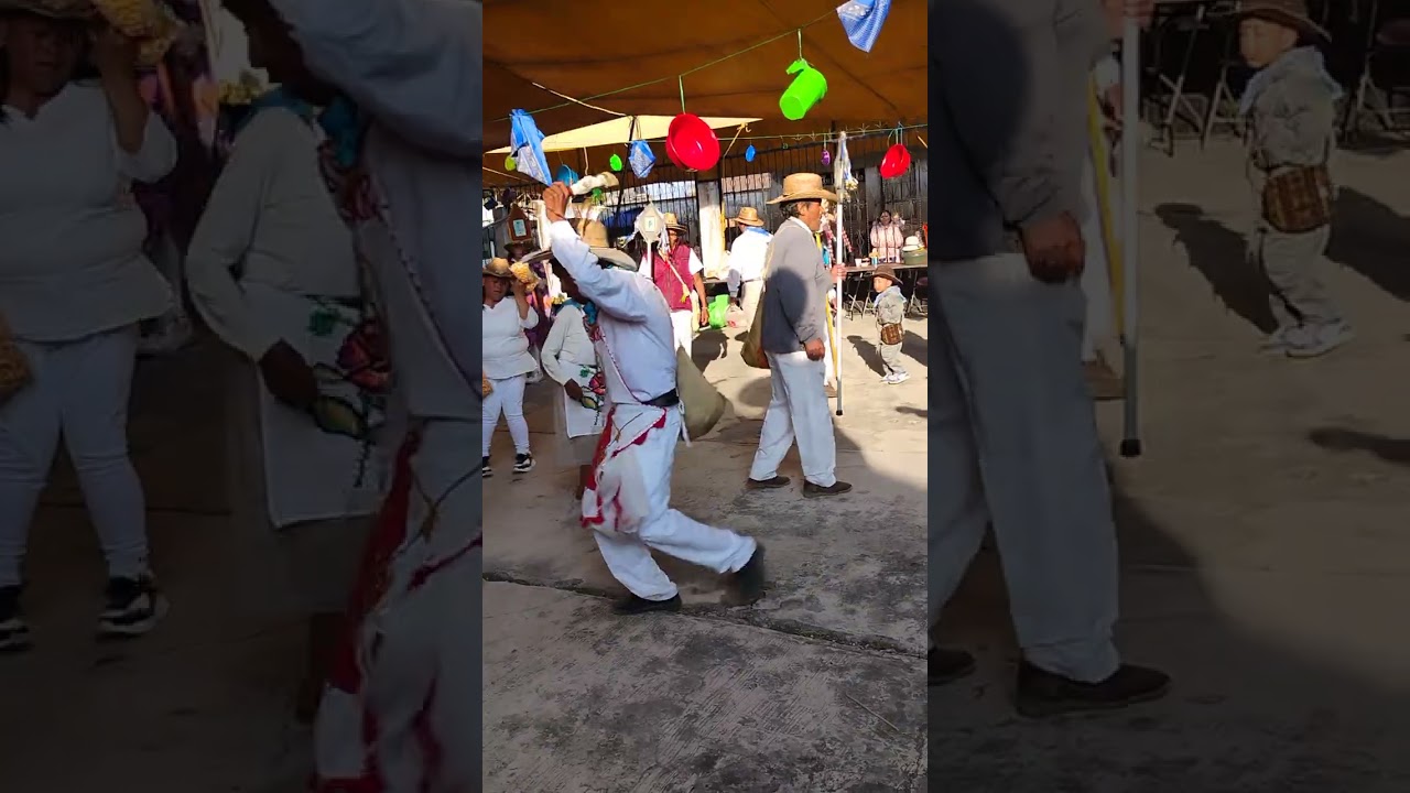 Danza de los arrieros de San Lorenzo huehuetitlan estado de México 