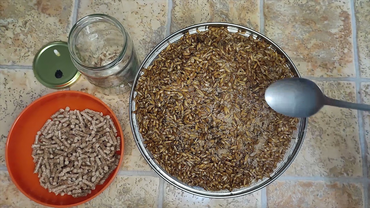 Kako spremiti i zasejati žitarice miceljijumom - Druga epizoda