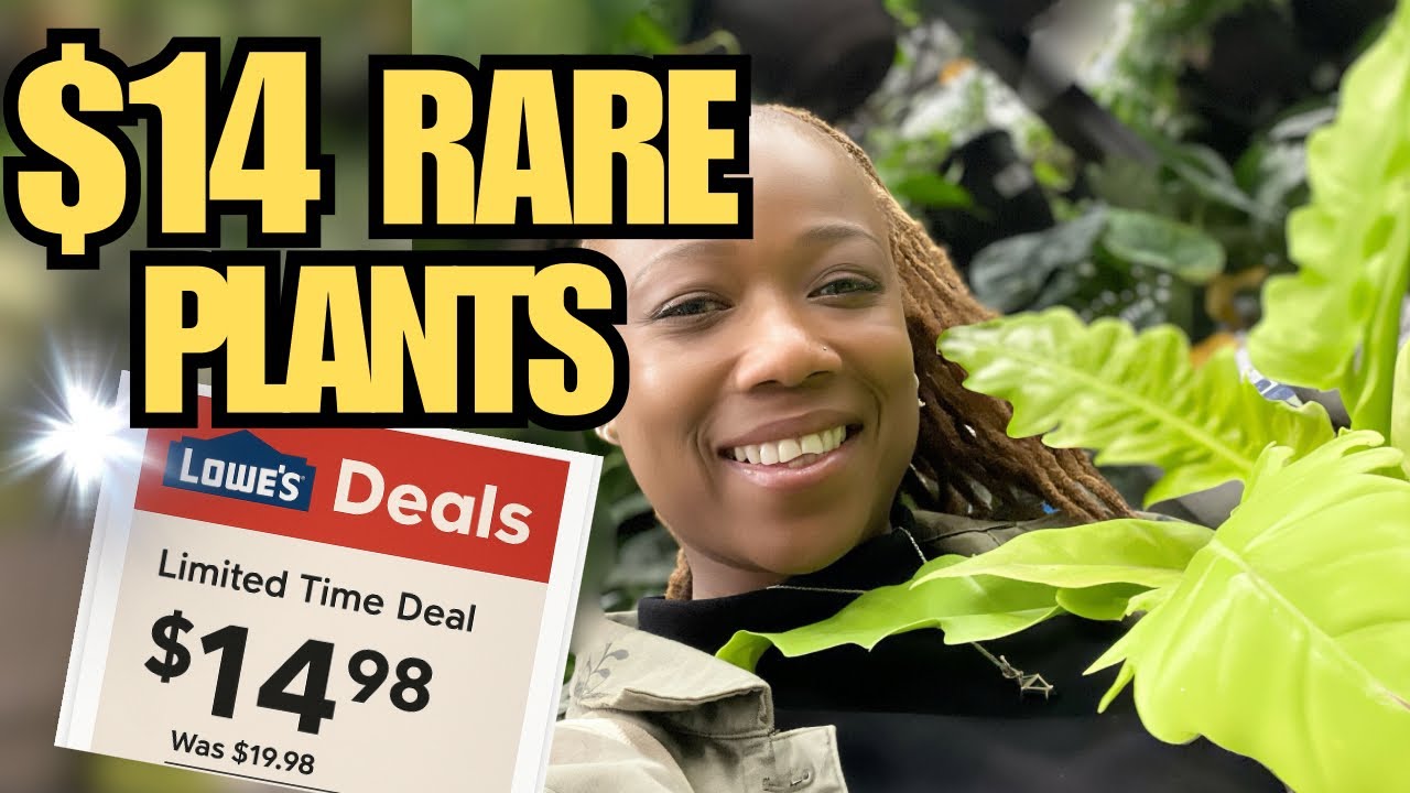 RUN to Lowe’s! $14 Trending Tropicals - Rare Plants, HUGE Restock!